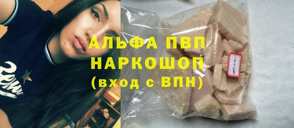 индика Лихославль