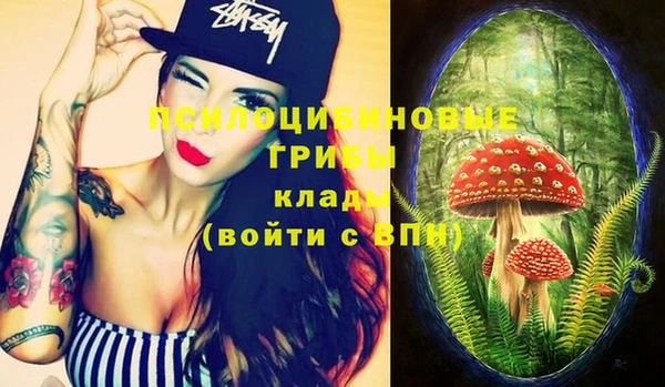 ГАЛЛЮЦИНОГЕННЫЕ ГРИБЫ Магадан