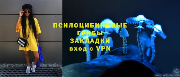 индика Лихославль