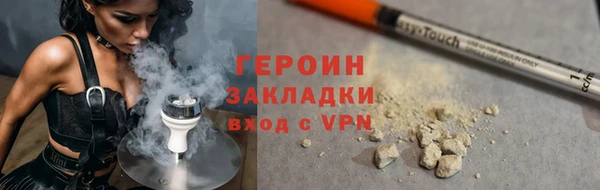 индика Вяземский