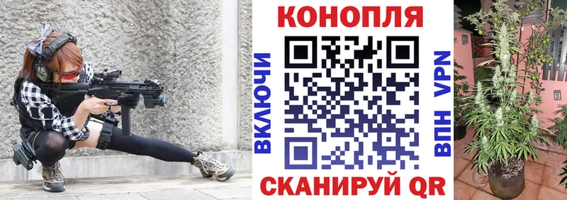 купить наркоту  Нюрба  Марихуана сатива 